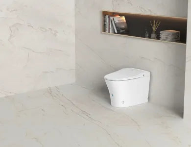 Lesbos Back to Wall Smart Toilet LK-LS318SMWFP