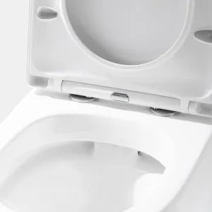 Acadia Full Rimless Toilet Suite LK-AC202