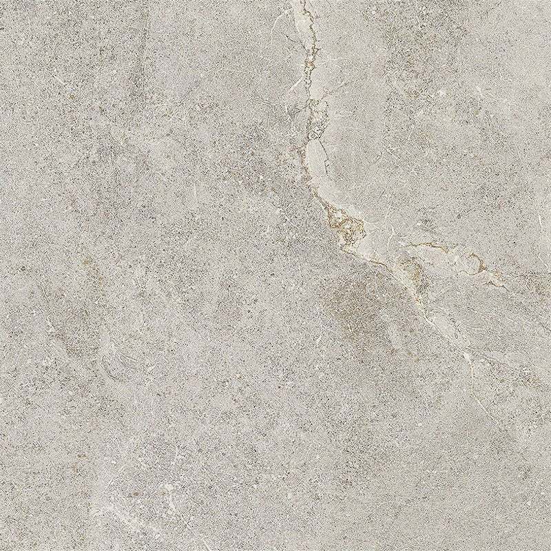 TG-DWANT-ASH Porcelain Tiles