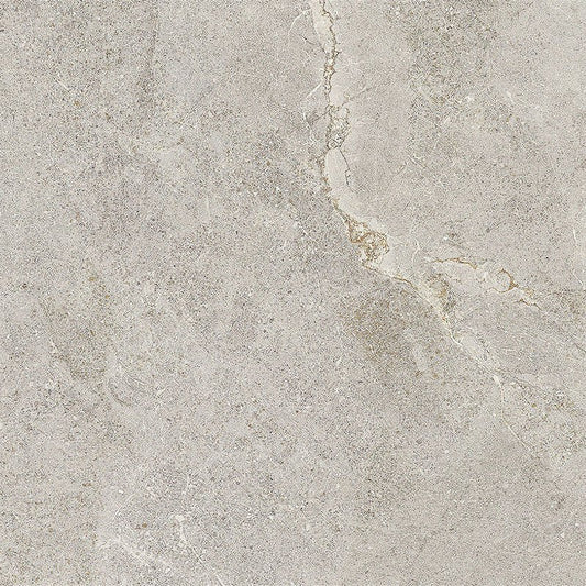 TG-DWANT-ASH Porcelain Tiles