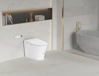 Lesbos Back to Wall Smart Toilet LK-LS318SMWFP